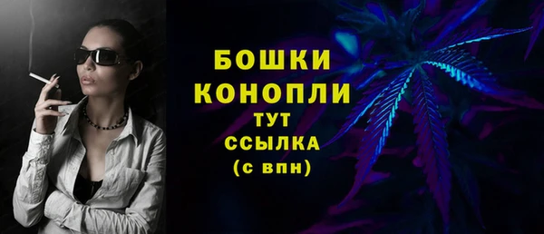 ПСИЛОЦИБИНОВЫЕ ГРИБЫ Вязьма
