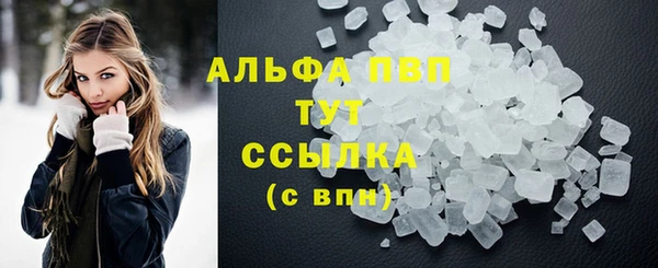 индика Бронницы